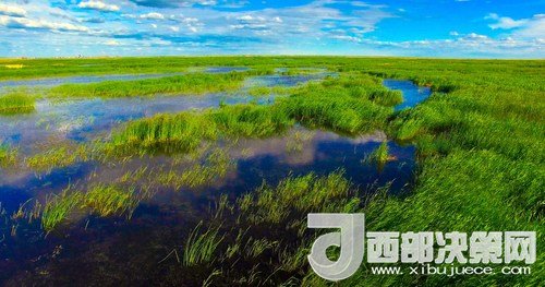 呼倫湖濕地。吳勇攝
