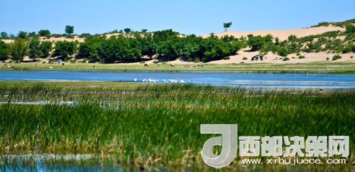 阿魯科爾沁保護(hù)區(qū)濕地沙丘。吳勇攝