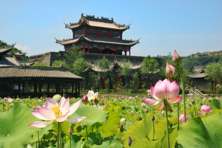 【云游渭南】心中若有桃花源，此處便是水云間！待疫情散盡，一起來渭南桃花源賞美景、觀民俗、享美食_fororder_2
